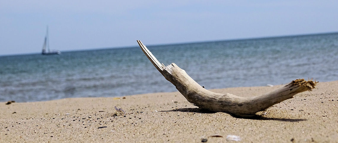 Urlaub an der Küste